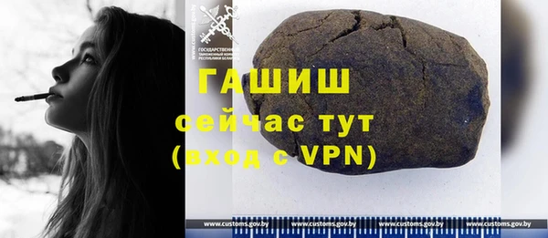 spice Богданович