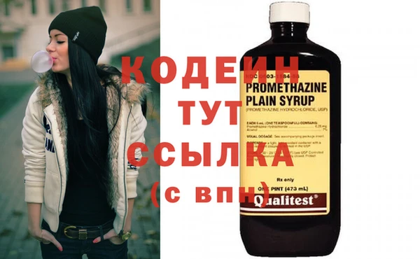 spice Богданович