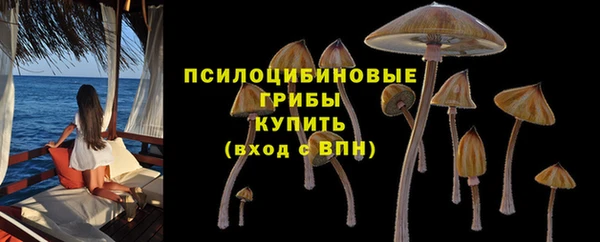 spice Богданович