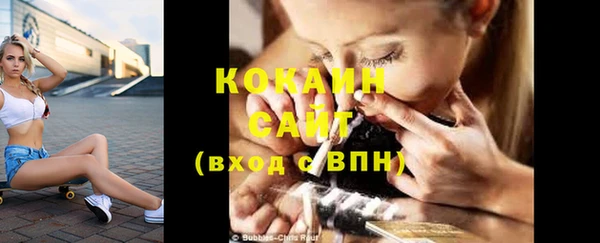spice Богданович