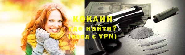 spice Богданович