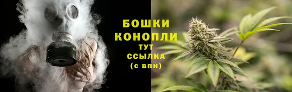 spice Богданович