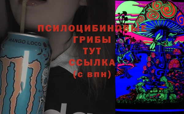 не бодяженный Богородицк