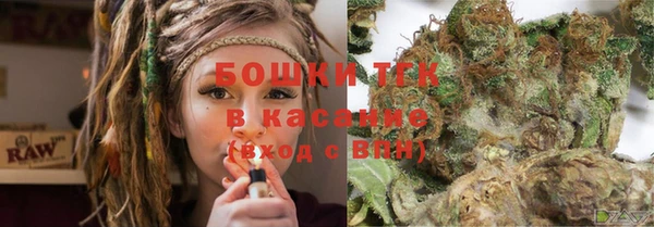 spice Богданович