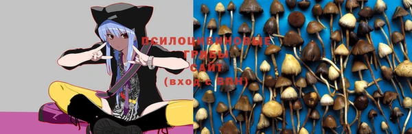не бодяженный Богородицк