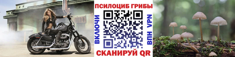 магазин  наркотиков  Волжский  Галлюциногенные грибы MAGIC MUSHROOMS 