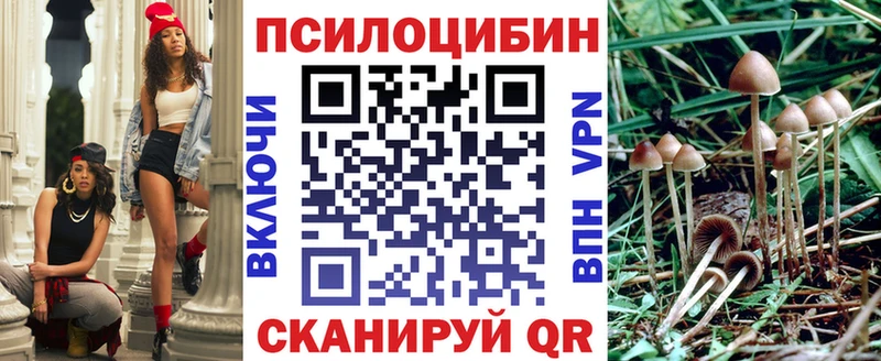 Псилоцибиновые грибы Psilocybine cubensis Волжский